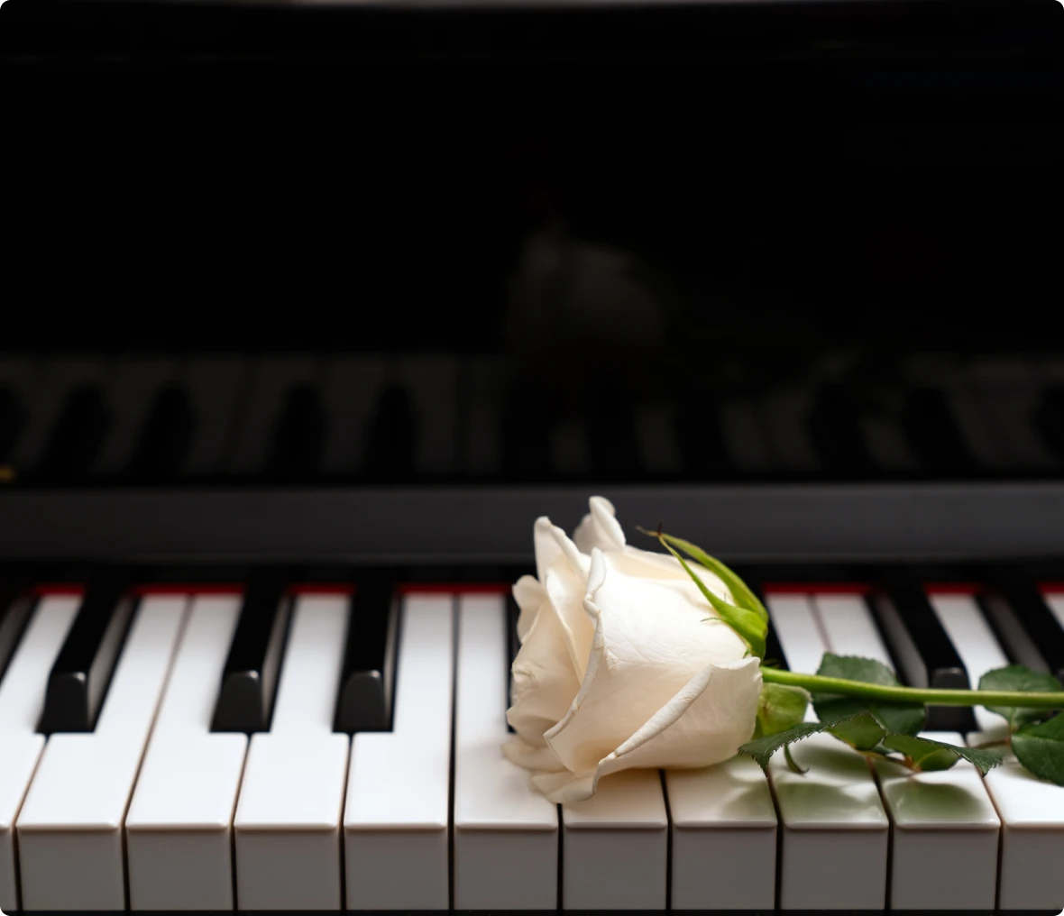 Piano keys adorned with a white rose