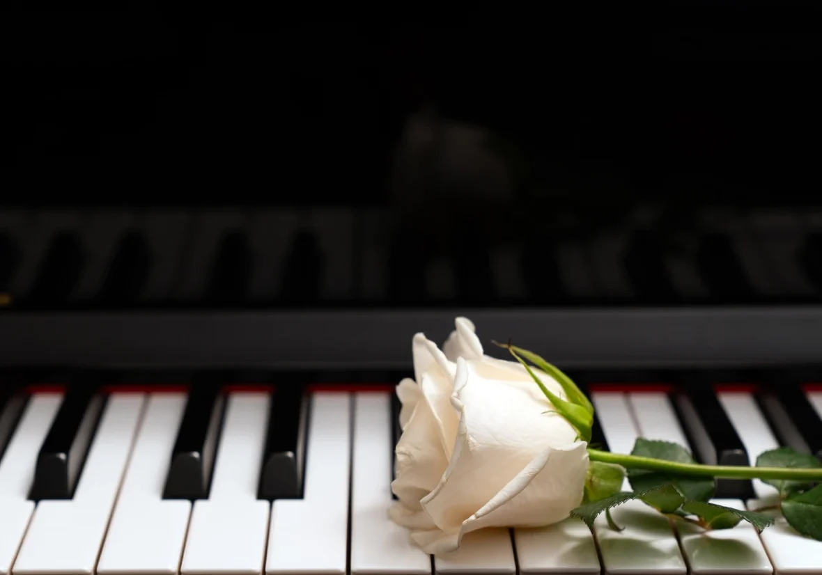 Piano keys adorned with a white rose